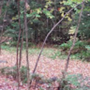 Meet your Posher, Katy